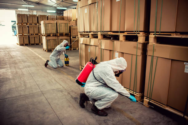 Best Wildlife Control Services  in Richland, GA