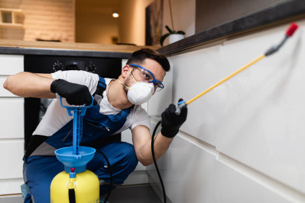 Best Pest Control Near Me  in Richland, GA