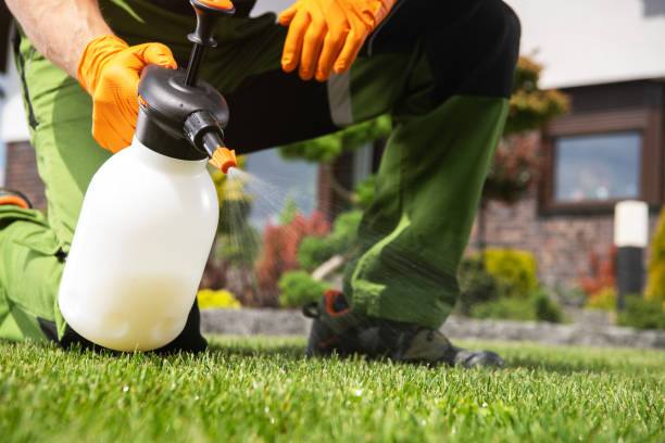 Best Rodent Control Near Me  in Richland, GA