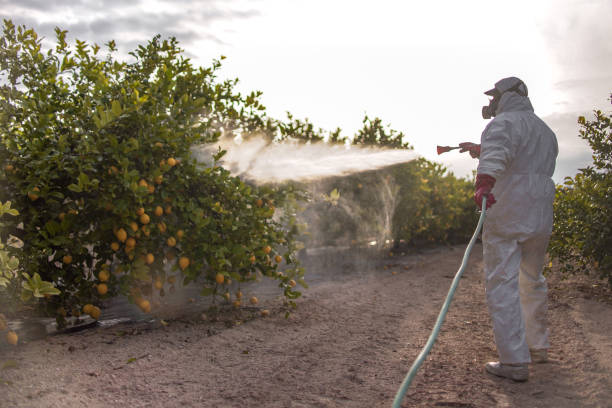 Best Local Pest Control Services  in Richland, GA