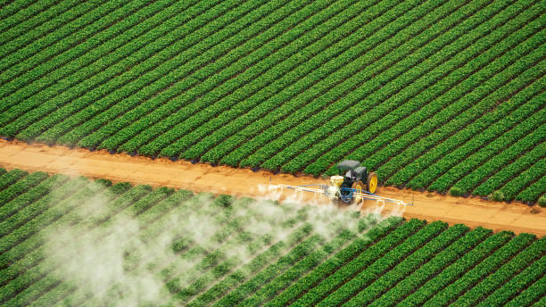Pest Prevention Services in Richland, GA