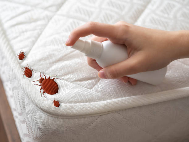 Best Affordable Pest Control Services  in Richland, GA