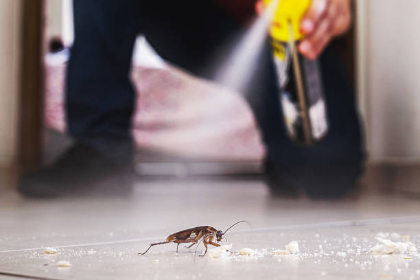 Best Pest Control Near Me  in Richland, GA