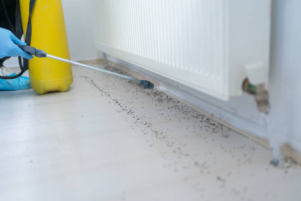 Best Termite Control Services  in Richland, GA