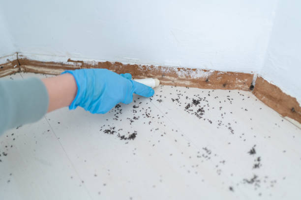 Best Wasp Removal Services  in Richland, GA